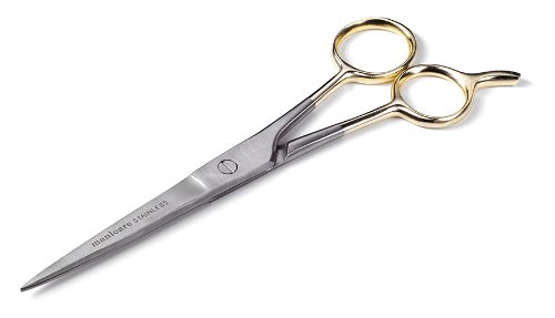 hairdressing scissors